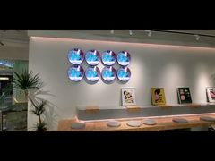 P2 Indoor LED Round Display  Circular LED Screen